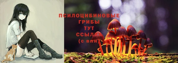 гидропоника Алексеевка