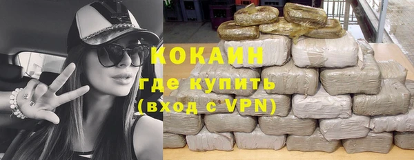 крисы Алзамай