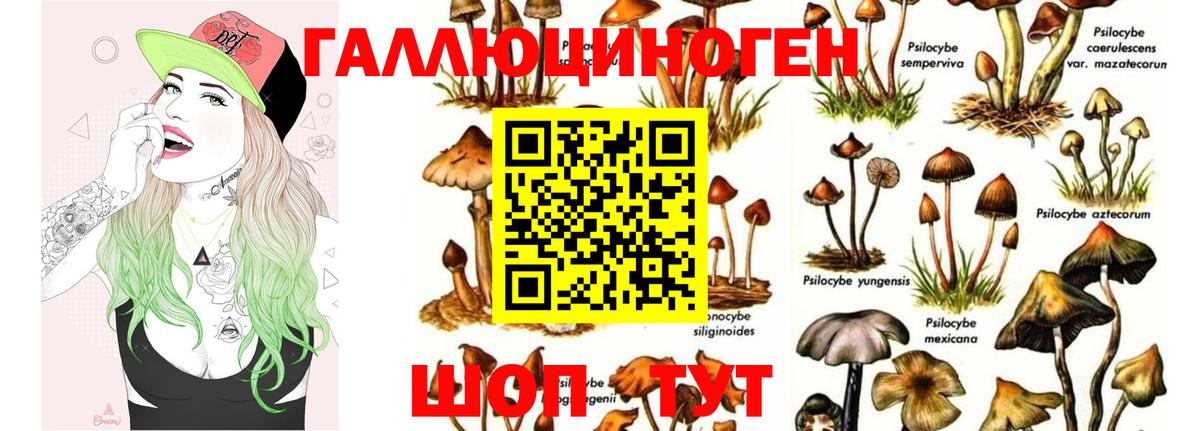 Псилоцибиновые грибы Psilocybine cubensis  Галлюциногенные грибы GOLDEN TEACHER  Вход с VPN  Сухой Лог 